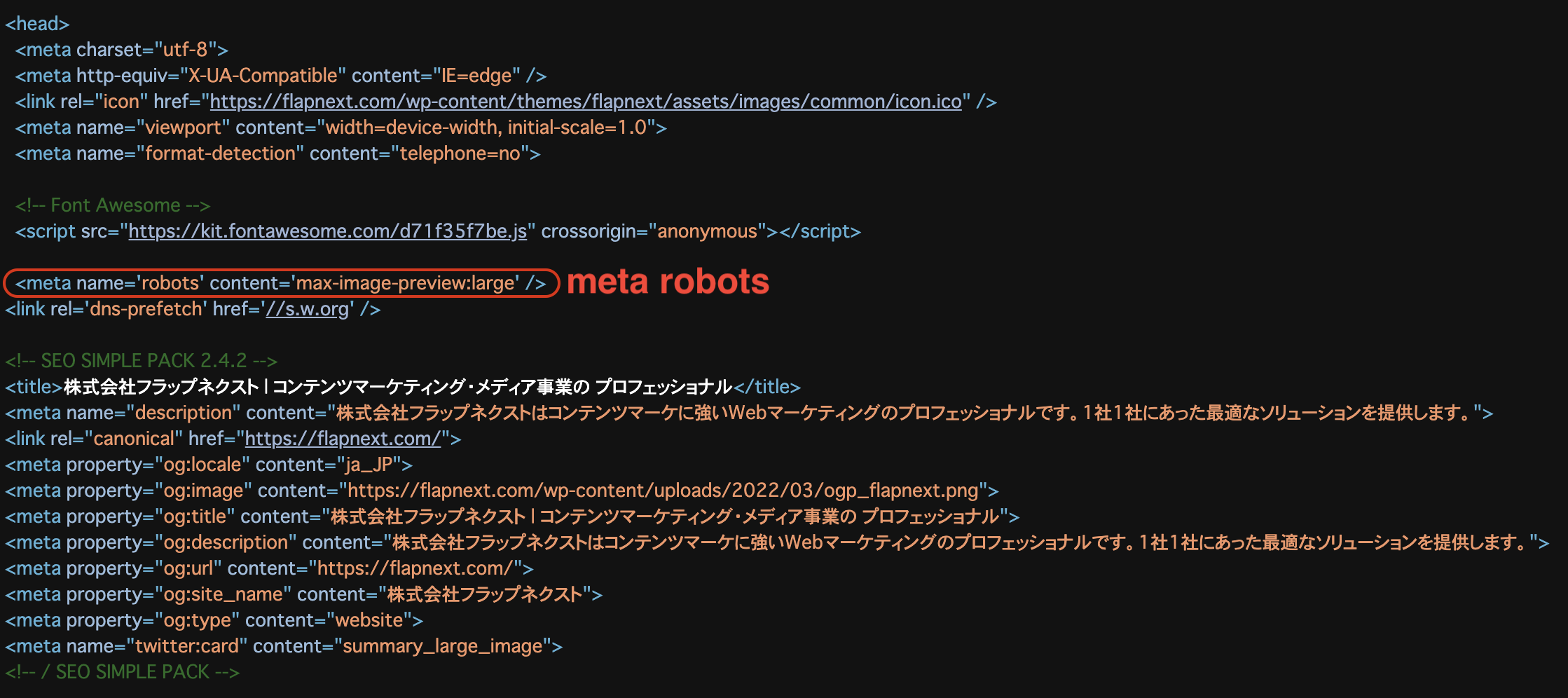 SEO対策で重要なmetaタグと活用方法_robots